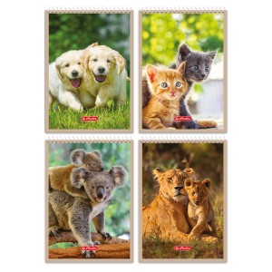 Herlitz — 1 szt. — Kołonotatnik A7 z serii Animals 