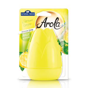 Odświeżacz powietrza — 1 szt. — Szyszka 40 ml