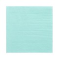 Servietten-1-lagig-1-4-Falz-33-cm-x-33-cm-mint-1650891781-88121_b_1.JPG